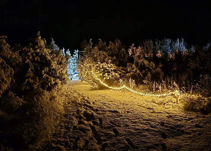 Juniper Minivillas Orman Evi Soderby